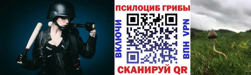 Псилоцибиновые грибы Psilocybine cubensis Кочубеевское